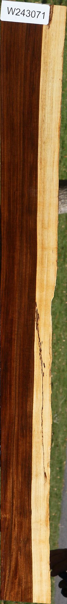 Tamboti Live Edge Lumber