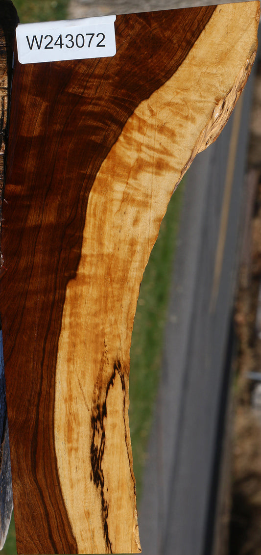 Extra Fancy Tamboti Live Edge Lumber