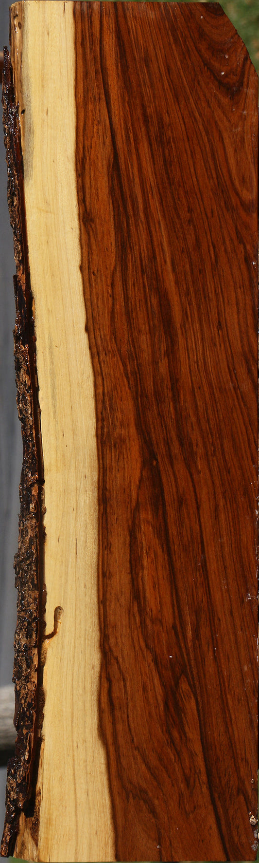 Figured Tamboti Live Edge Lumber