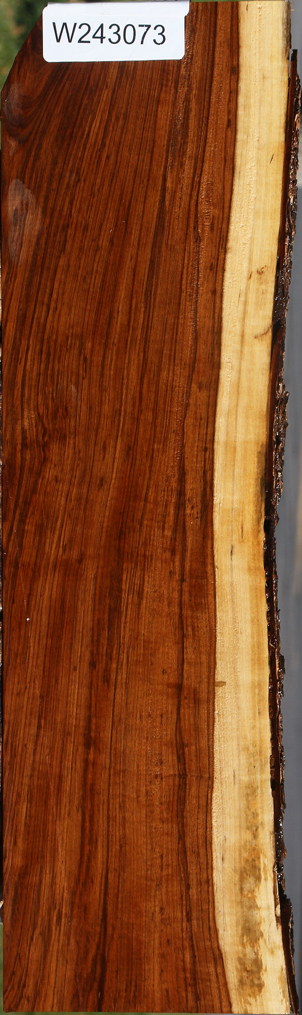 Figured Tamboti Live Edge Lumber