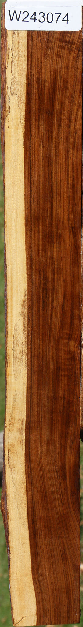 Figured Tamboti Live Edge Lumber