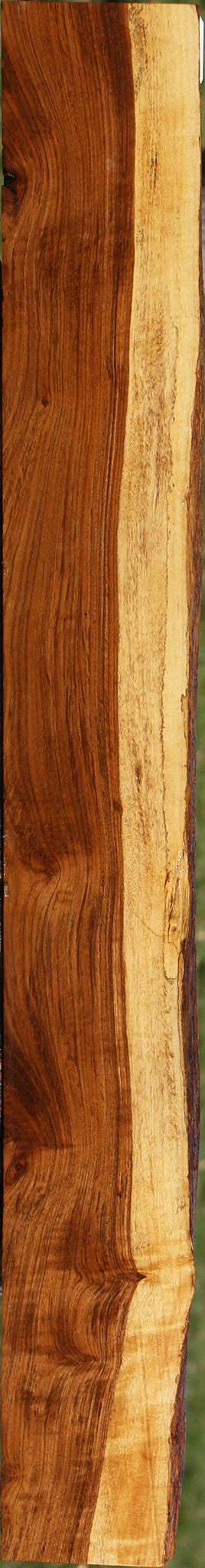 Figured Tamboti Live Edge Lumber