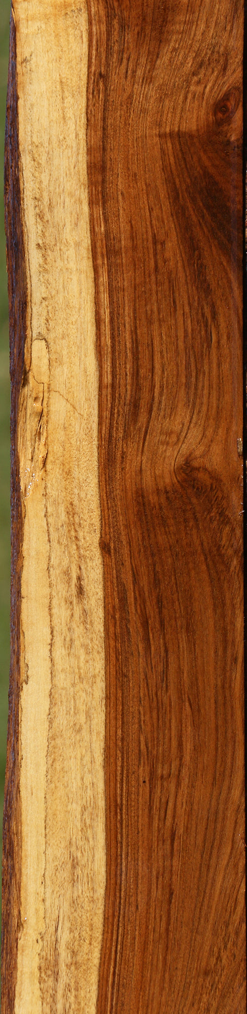 Figured Tamboti Live Edge Lumber