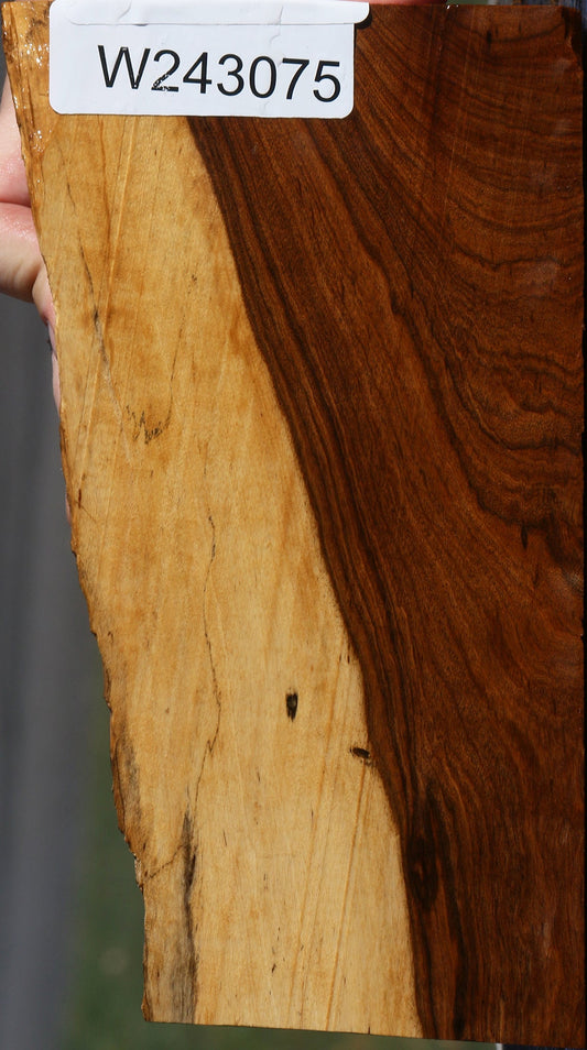 Tamboti Live Edge Lumber