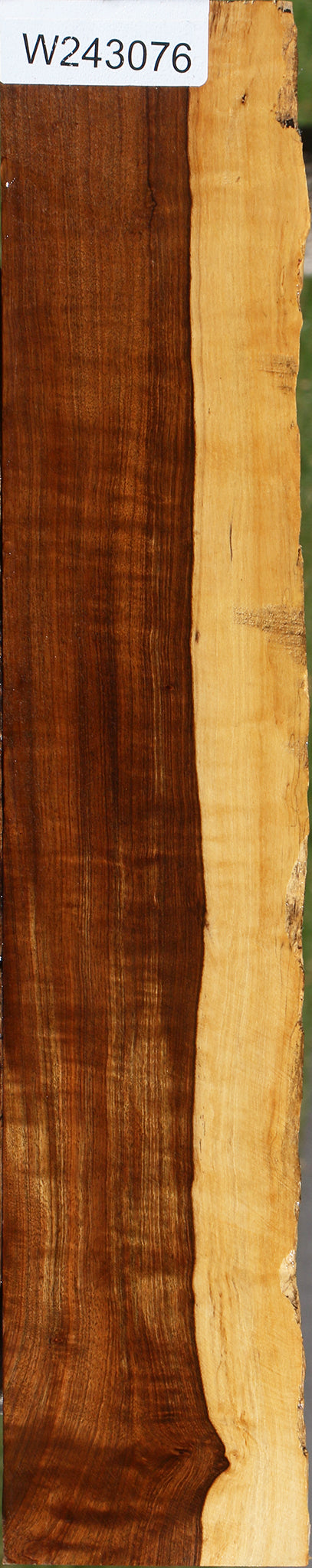 Extra Fancy Tamboti Live Edge Lumber