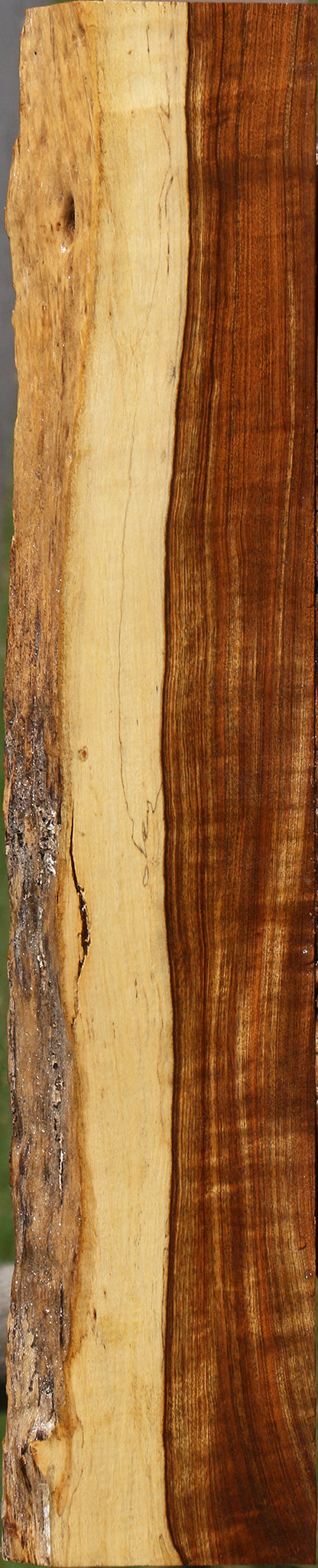 Extra Fancy Tamboti Live Edge Lumber