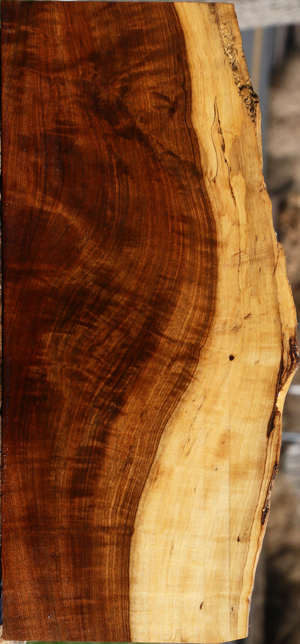 Extra Fancy Tamboti Live Edge Lumber