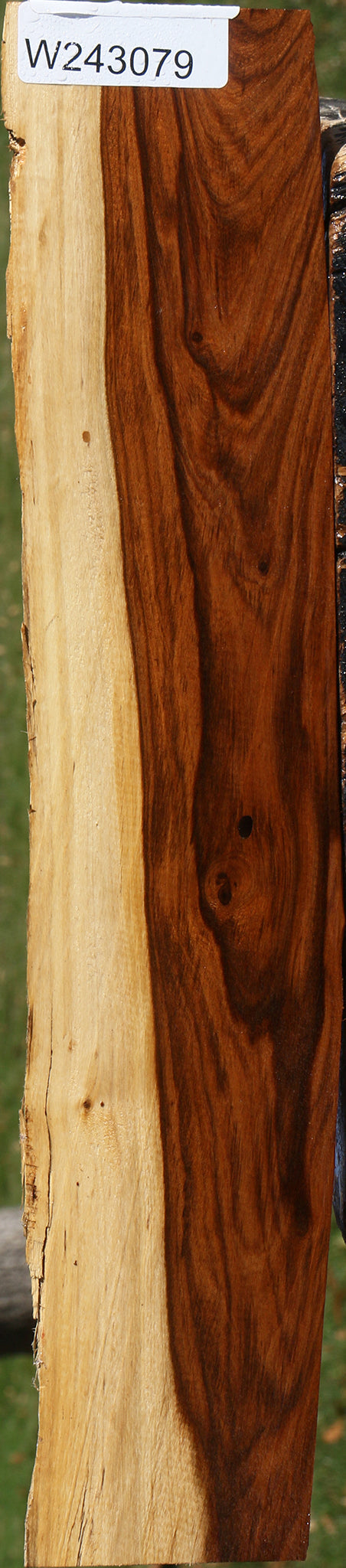 Rustic Tamboti Live Edge Lumber