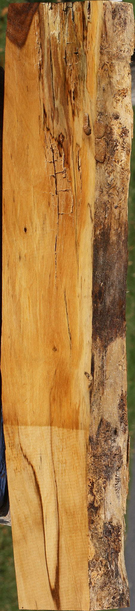 Rustic Tamboti Live Edge Lumber