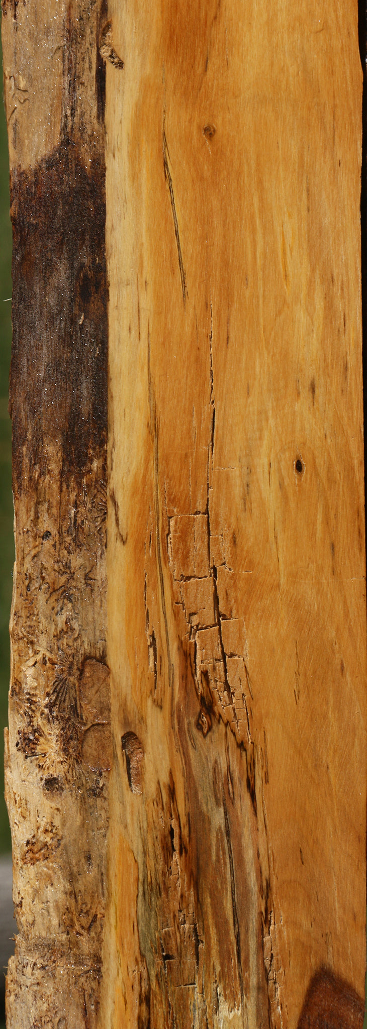 Rustic Tamboti Live Edge Lumber
