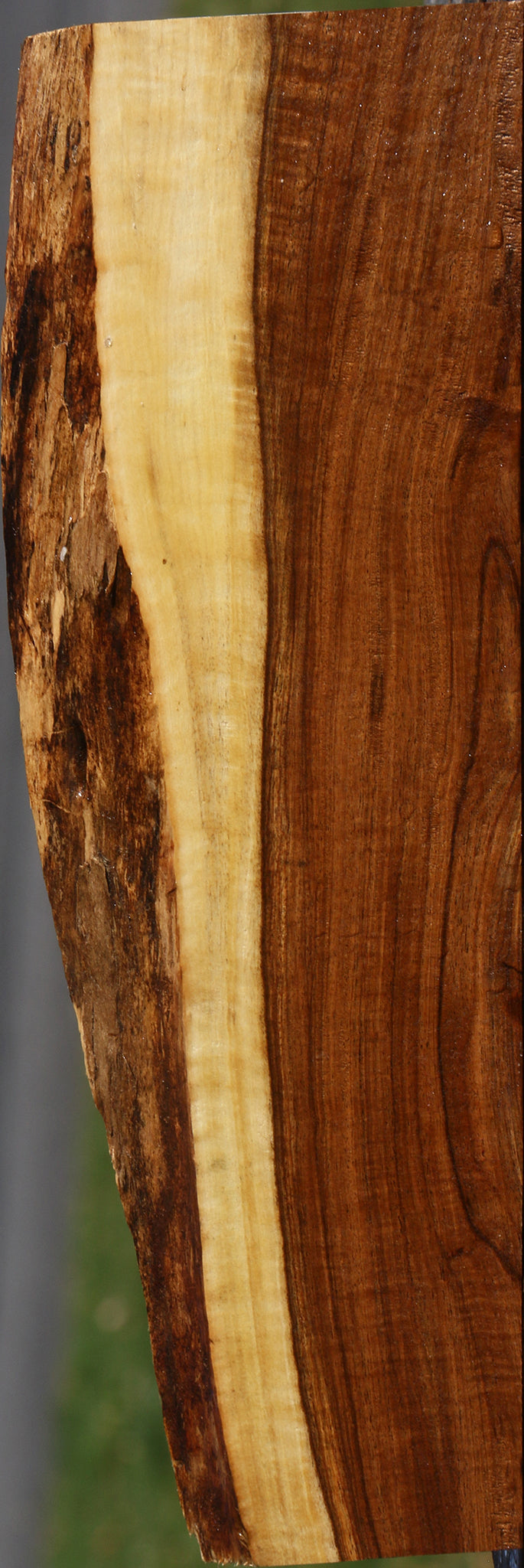 Figured Tamboti Live Edge Lumber