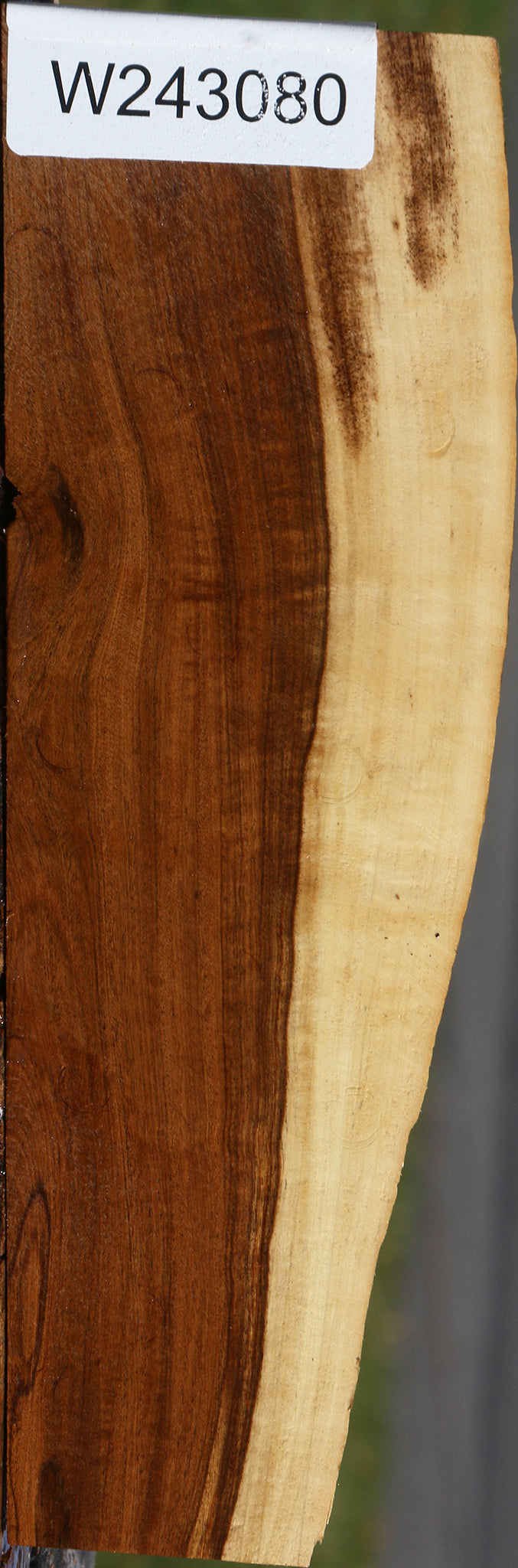 Figured Tamboti Live Edge Lumber