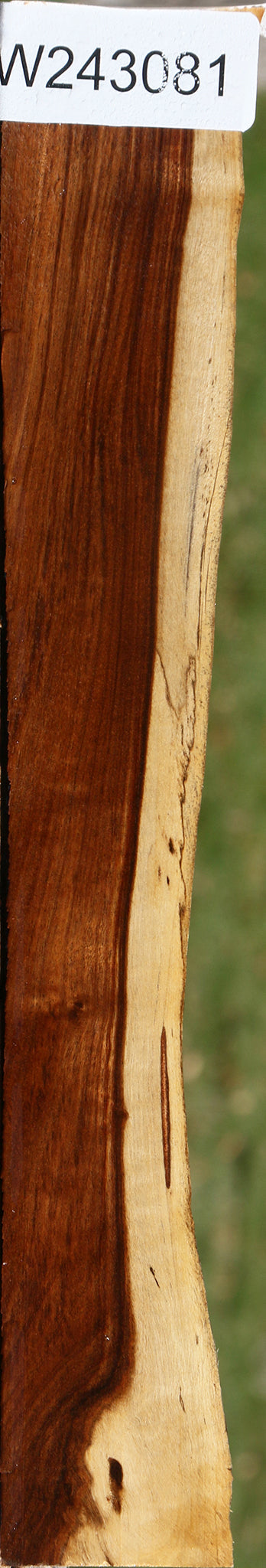 Tamboti Live Edge Lumber