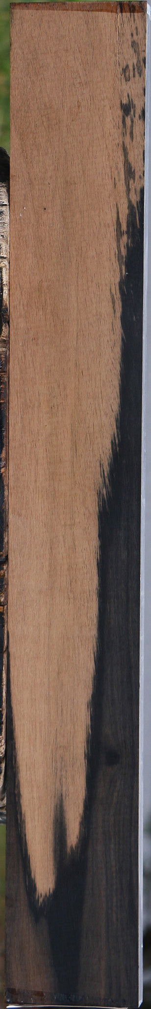 Gabon Ebony Lumber