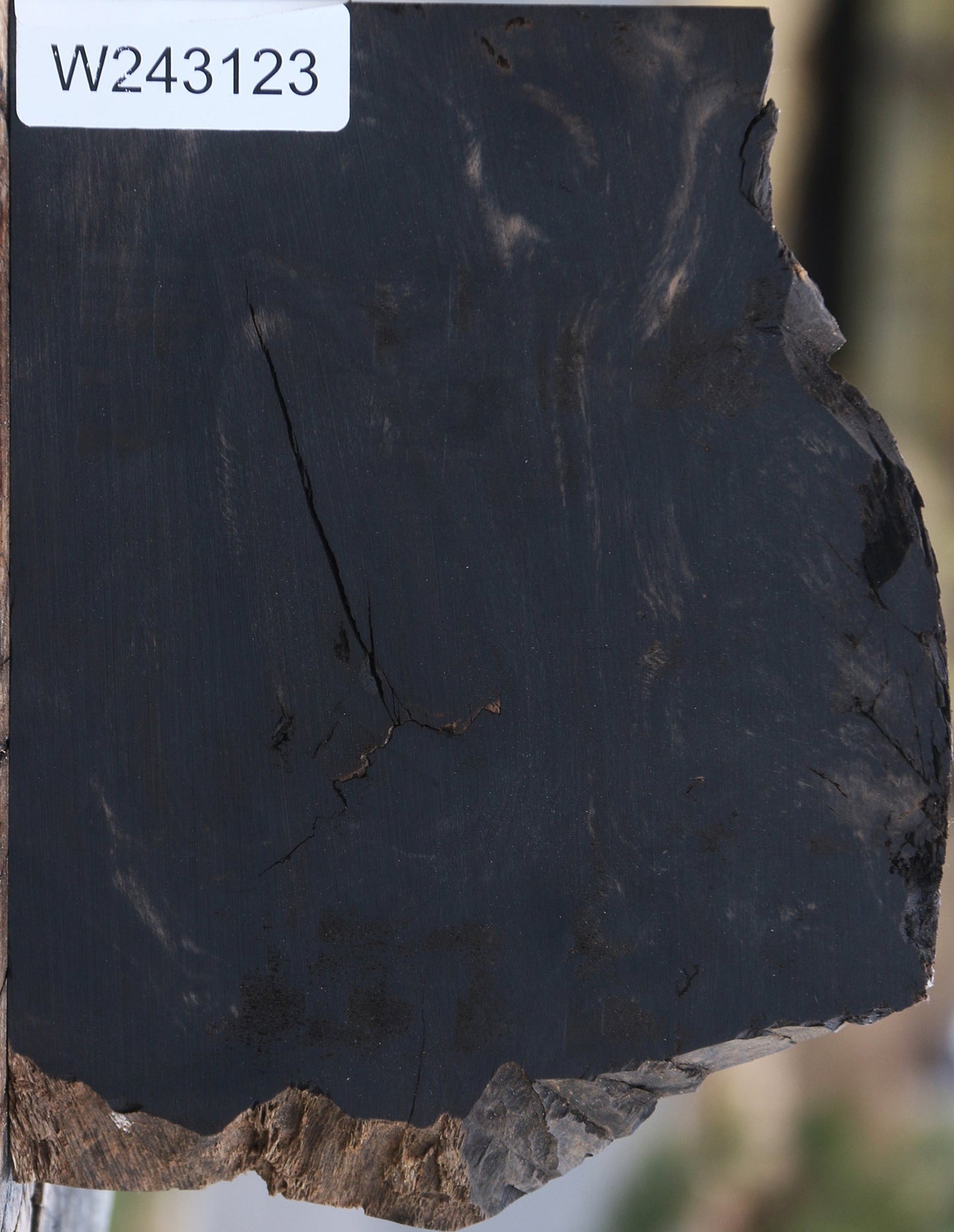 Extra Fancy Rustic Gabon Ebony Live Edge Micro Lumber