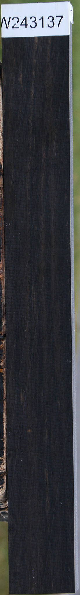 Gabon Ebony Lumber