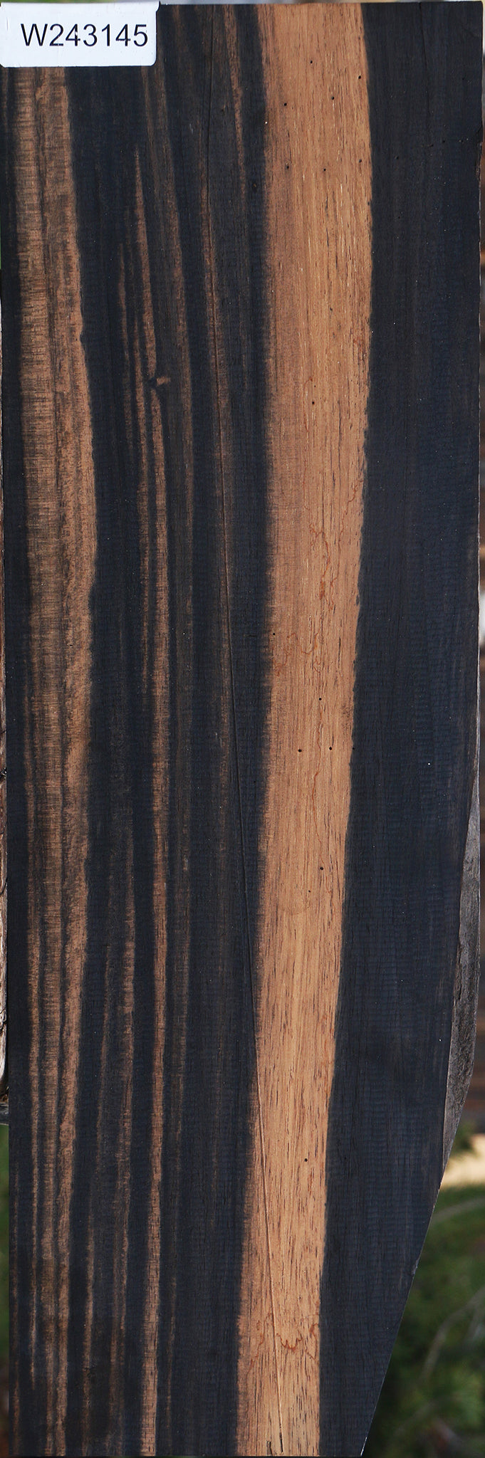 Gabon Ebony Instrument Lumber