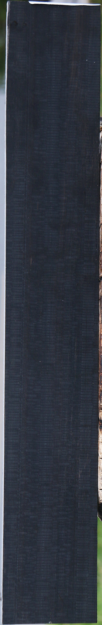Gabon Ebony Micro Lumber