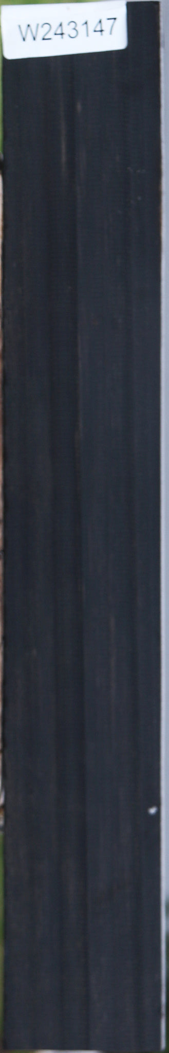 Gabon Ebony Micro Lumber