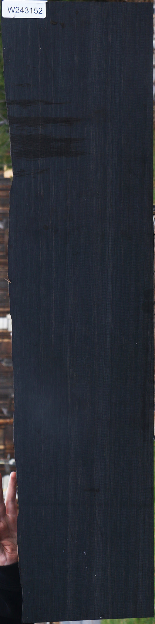Gabon Ebony Live Edge Micro Lumber