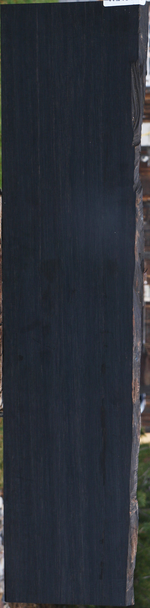 Gabon Ebony Live Edge Micro Lumber