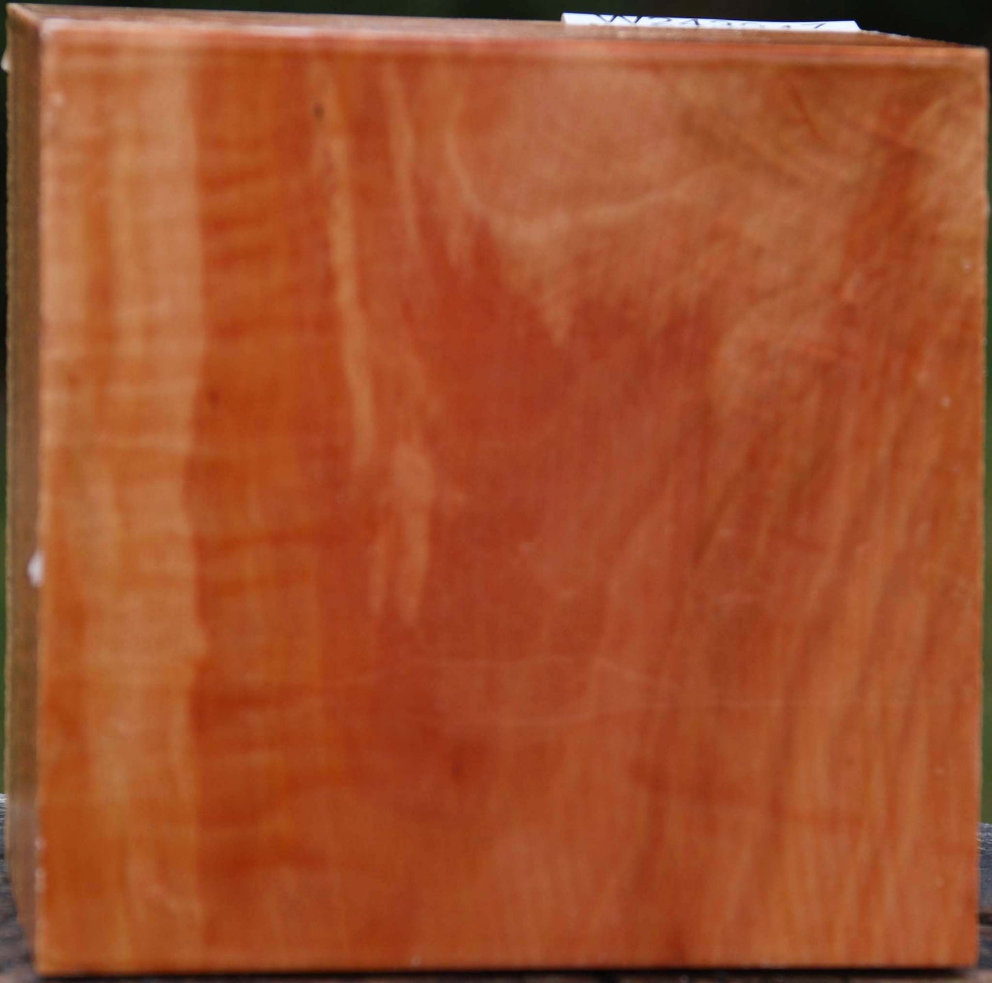 Figured Swiss Pear Bowl Blank