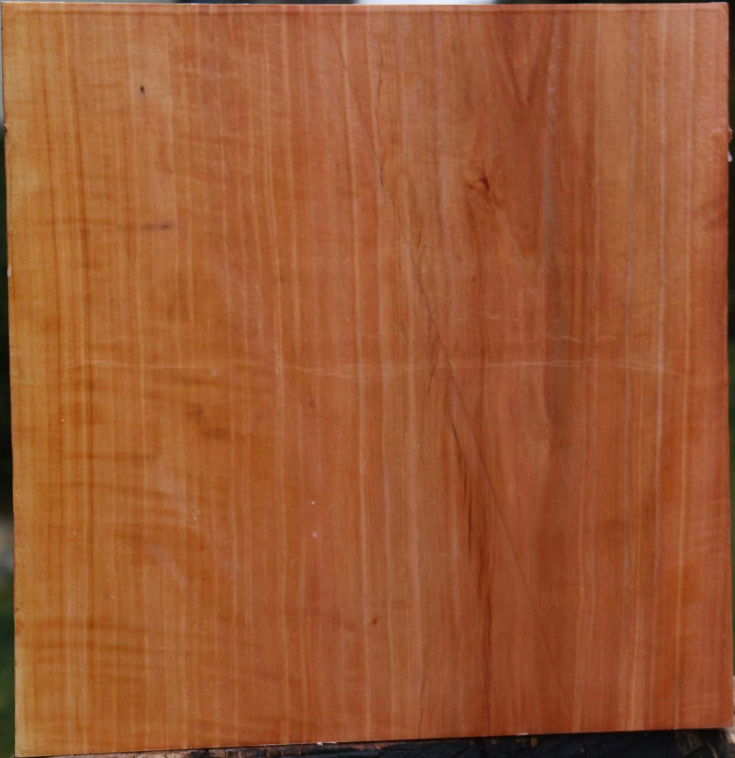 Figured Swiss Pear Bowl Blank