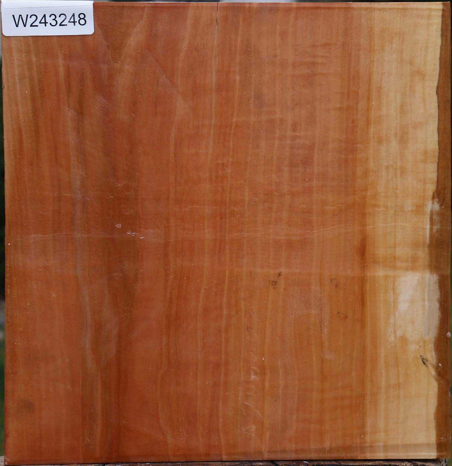 Figured Swiss Pear Bowl Blank