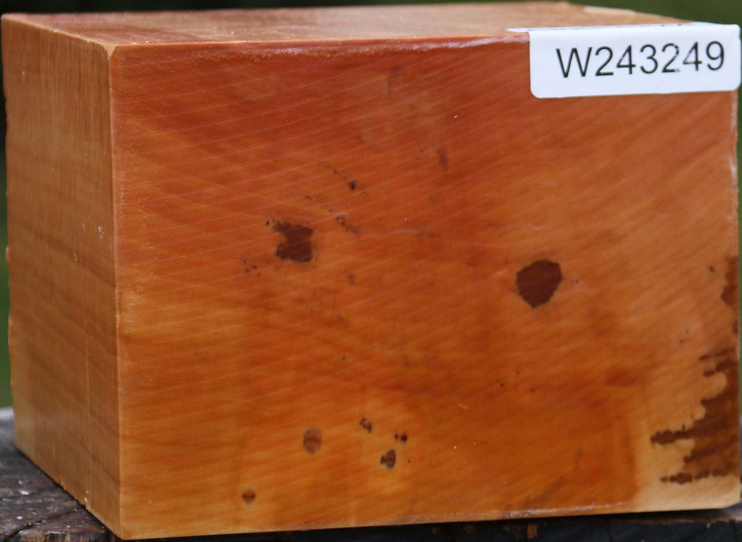 Figured Swiss Pear Bowl Blank