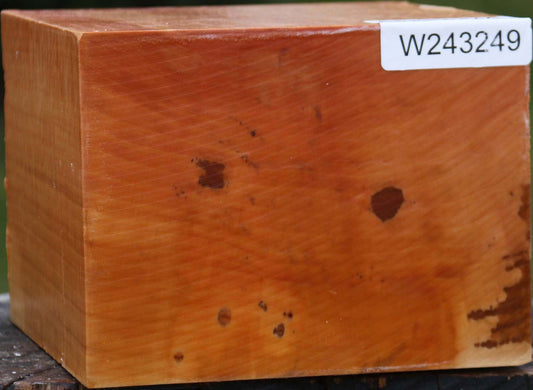 Figured Swiss Pear Bowl Blank