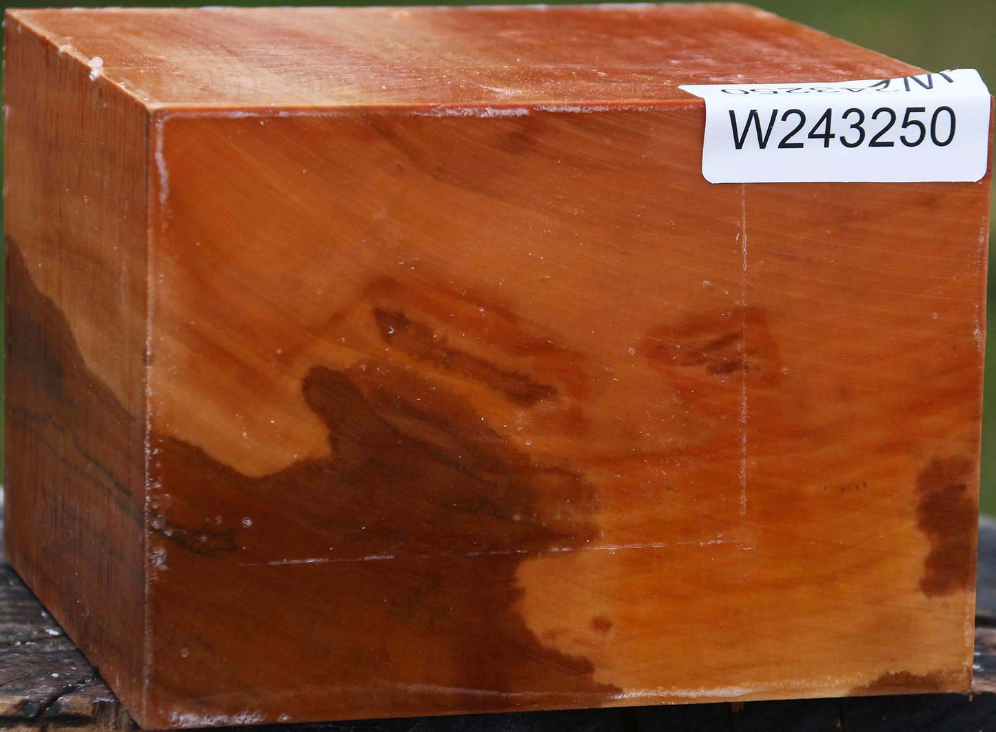 Figured Swiss Pear Bowl Blank