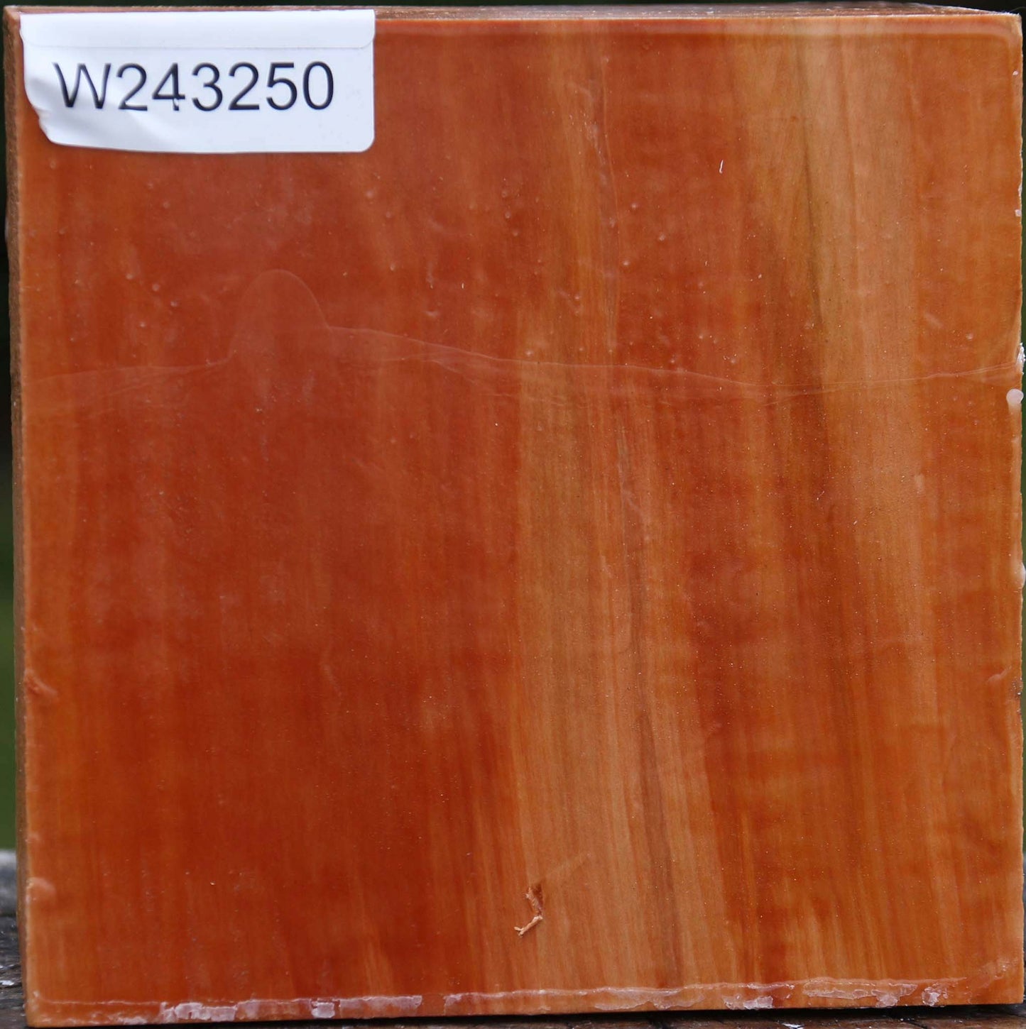 Figured Swiss Pear Bowl Blank