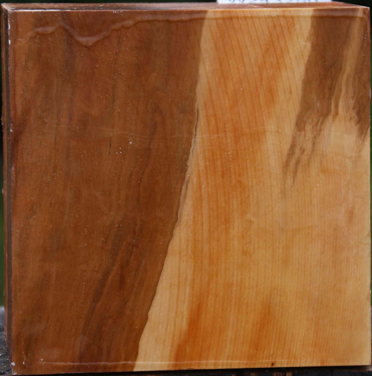 Figured Swiss Pear Bowl Blank