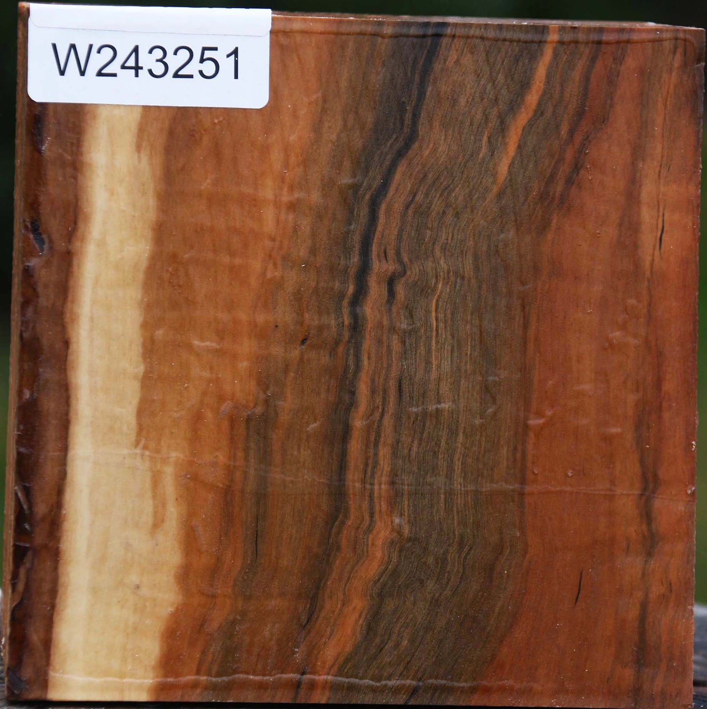 Figured Swiss Pear Bowl Blank