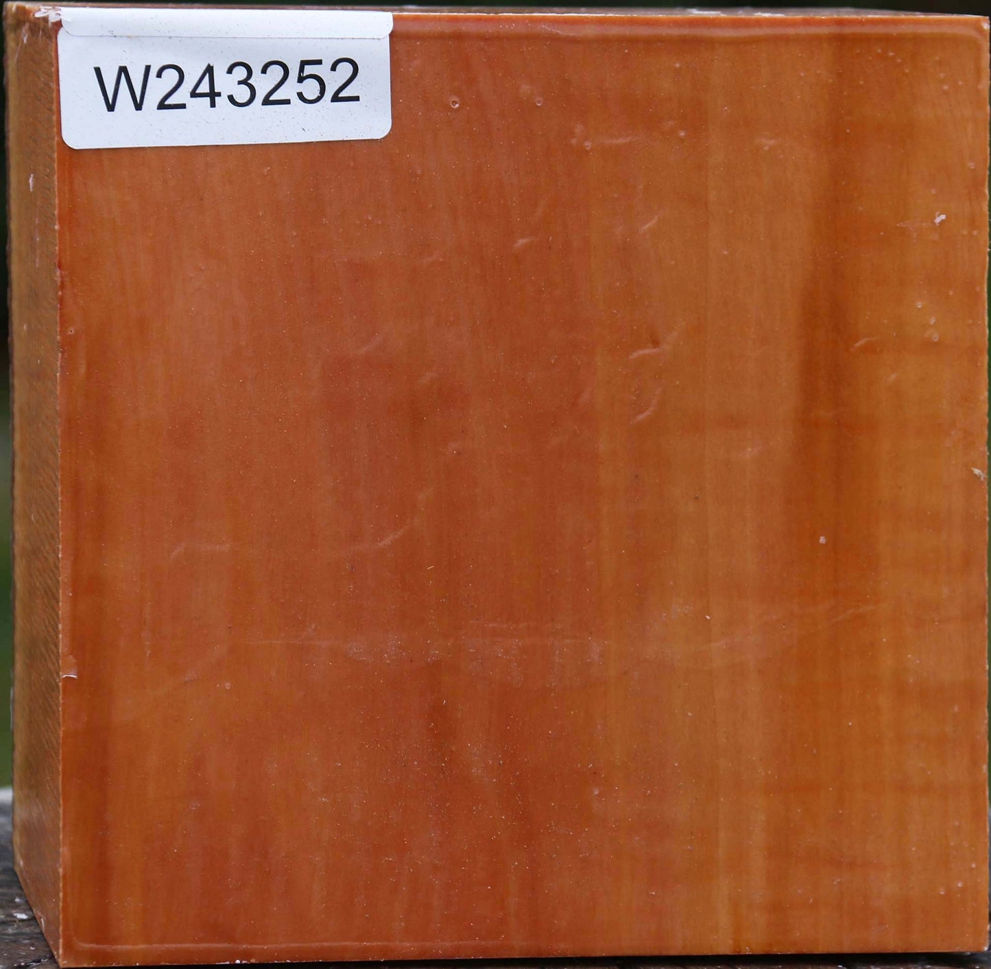 Swiss Pear Bowl Blank