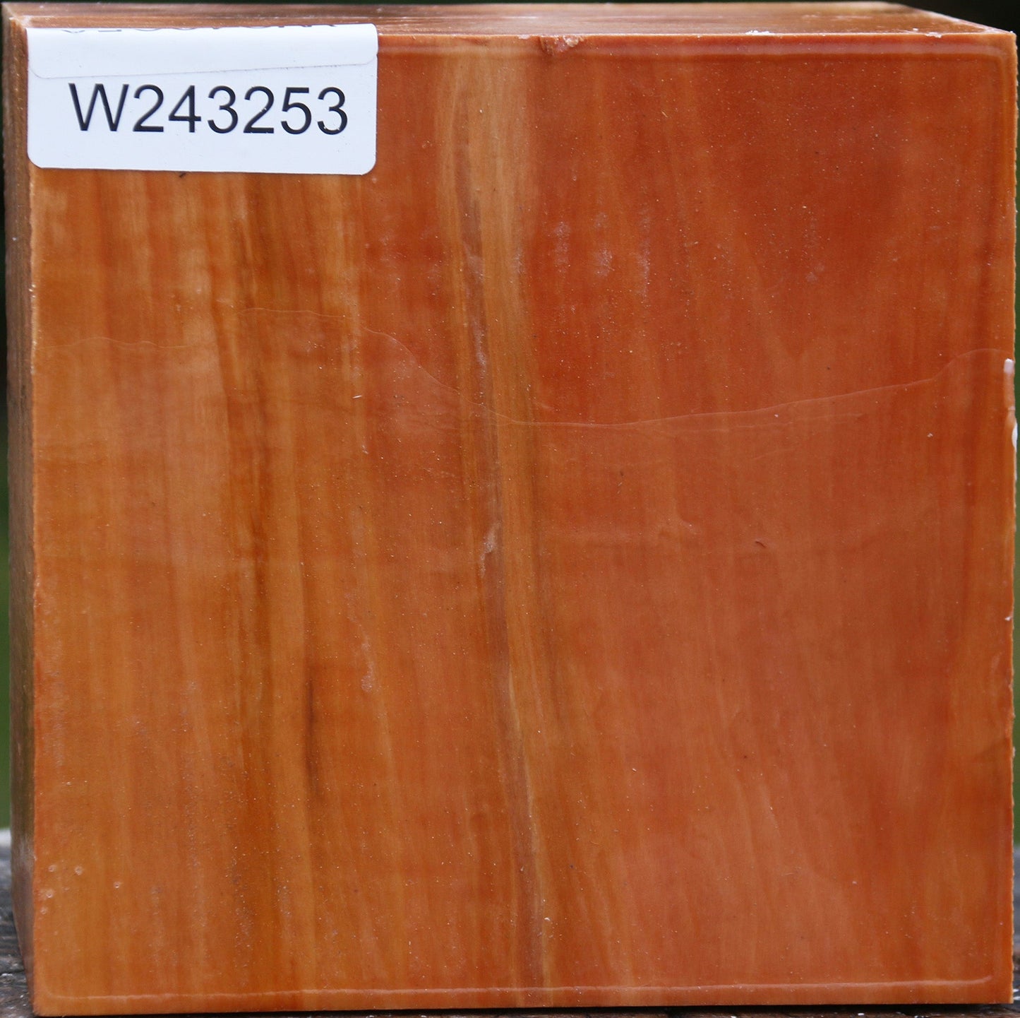 Figured Swiss Pear Bowl Blank