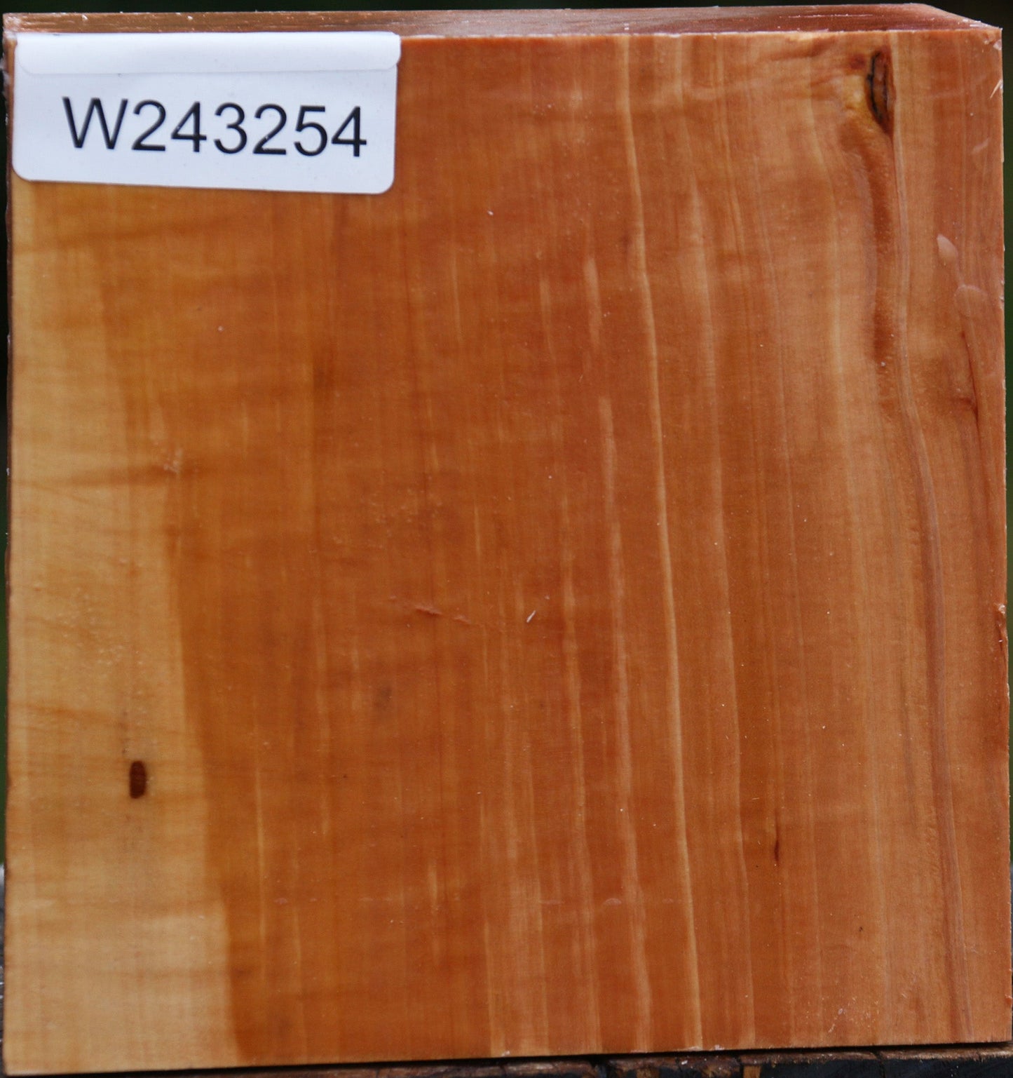 Figured Swiss Pear Bowl Blank