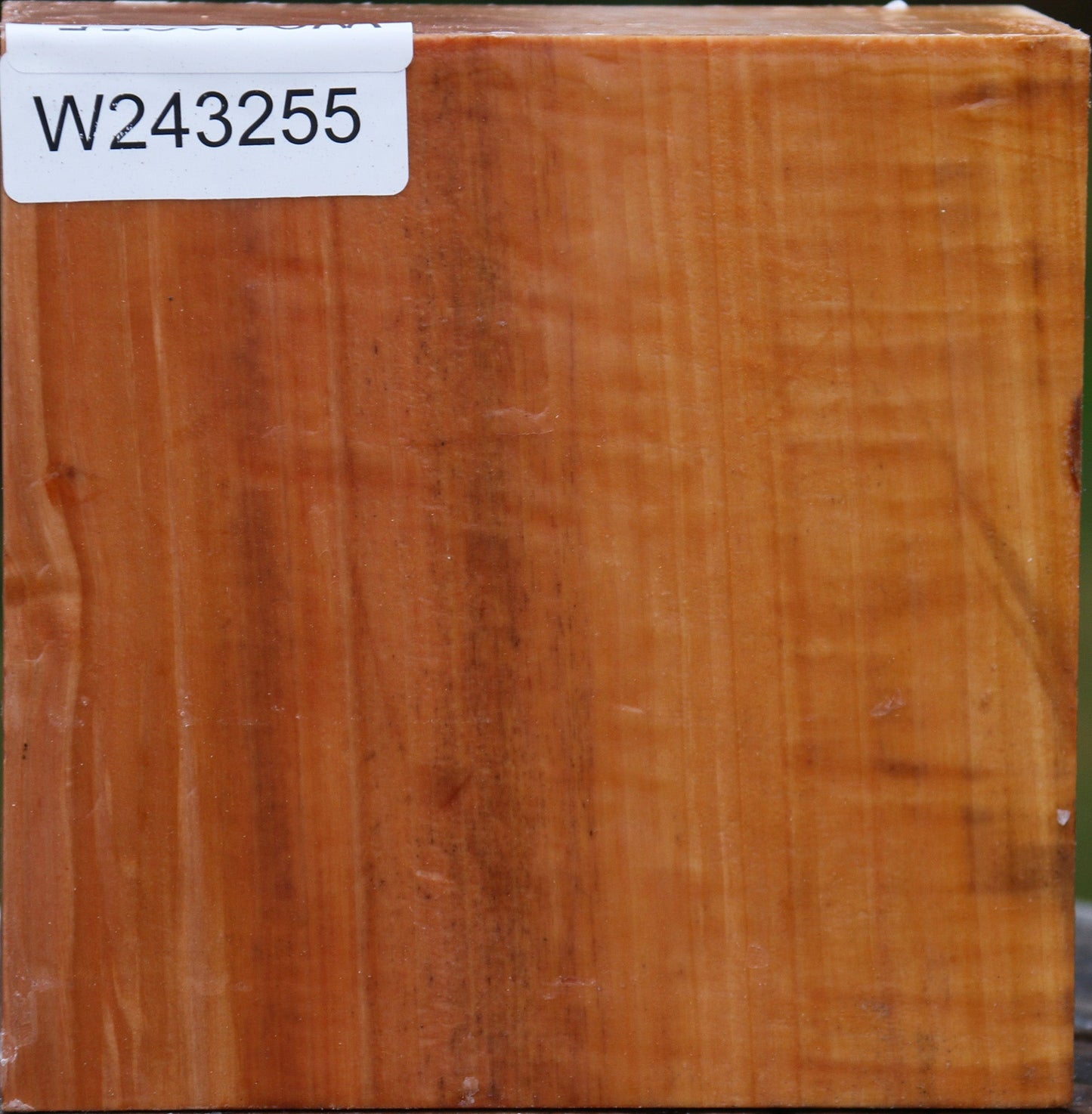 Figured Swiss Pear Bowl Blank