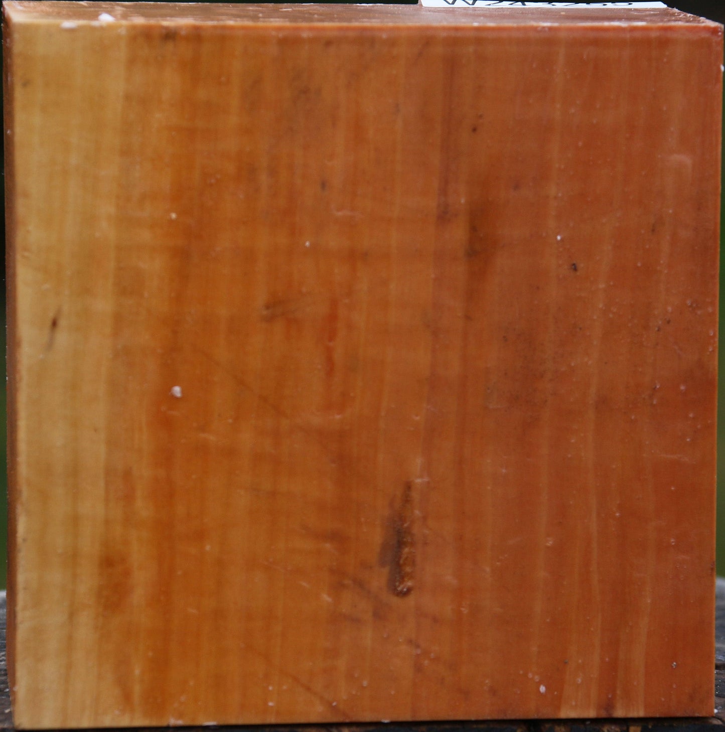 Figured Swiss Pear Bowl Blank