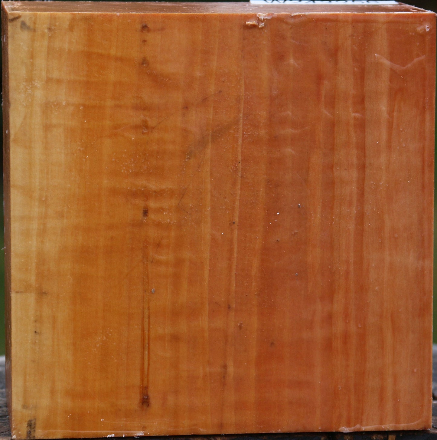 Figured Swiss Pear Bowl Blank