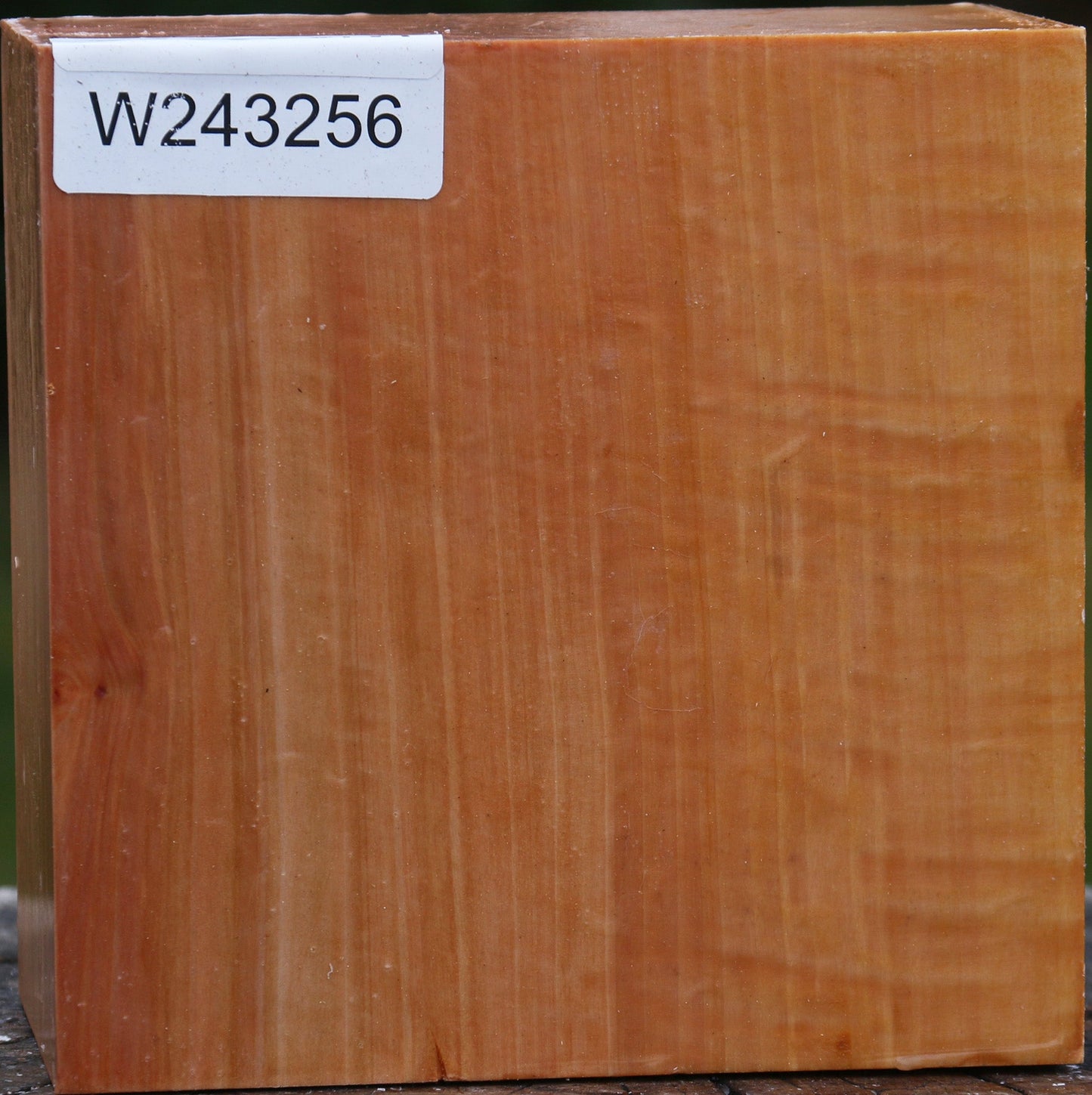 Figured Swiss Pear Bowl Blank