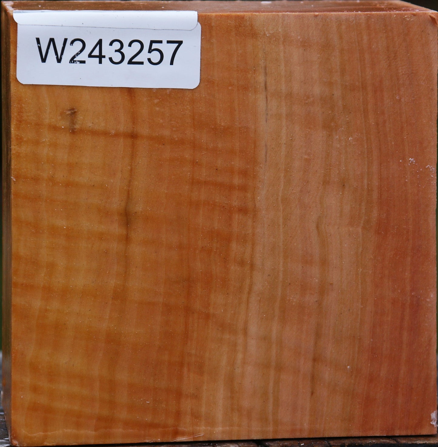 Extra Fancy Swiss Pear Bowl Blank