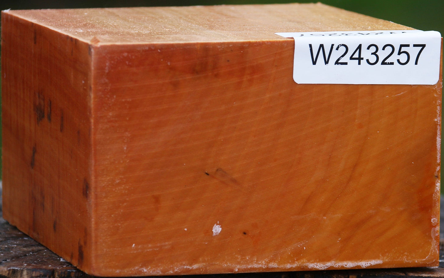 Extra Fancy Swiss Pear Bowl Blank