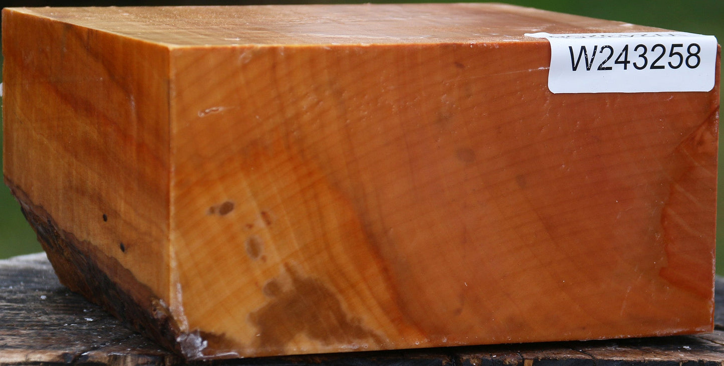 Figured Swiss Pear Bowl Blank