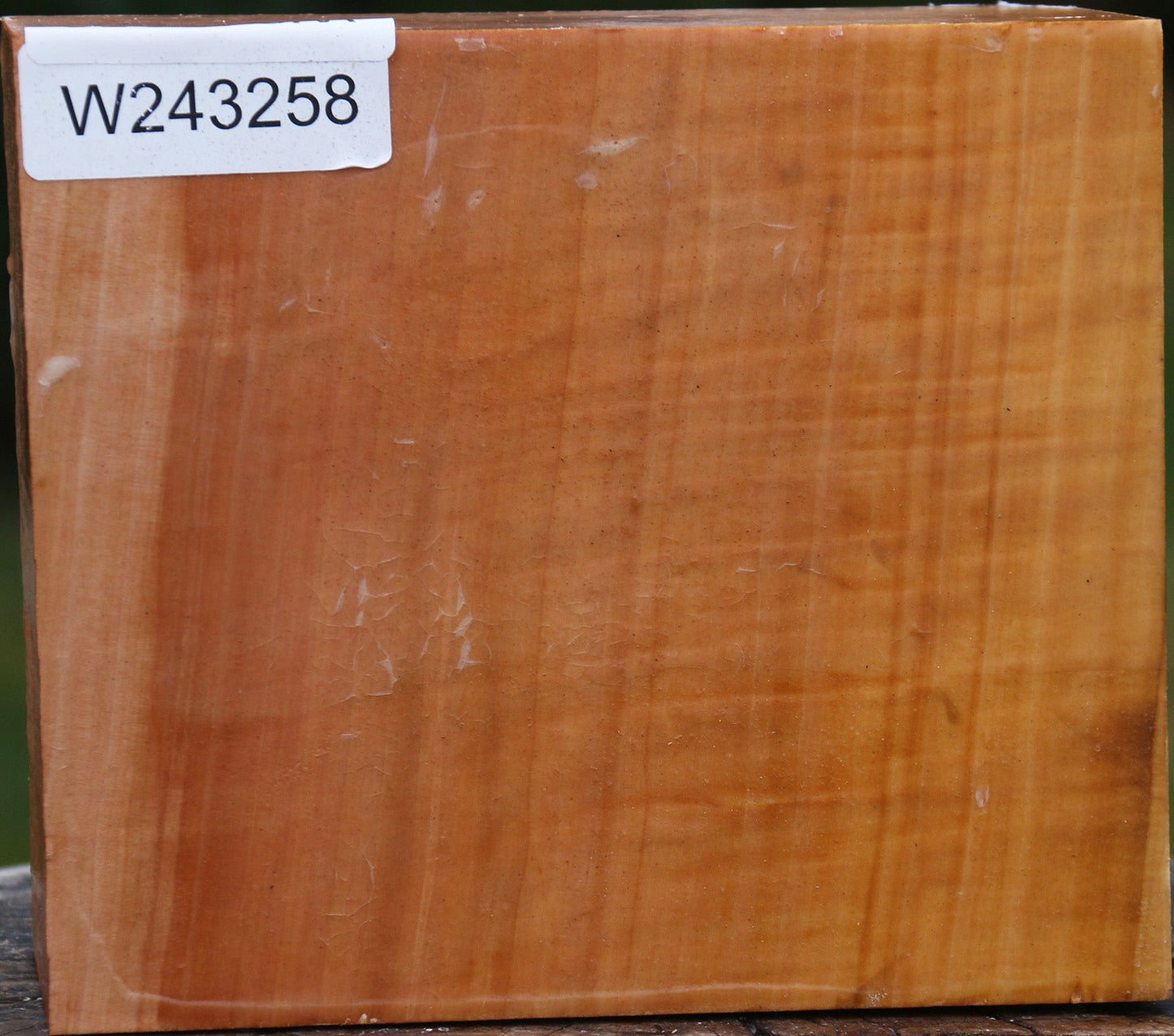 Figured Swiss Pear Bowl Blank