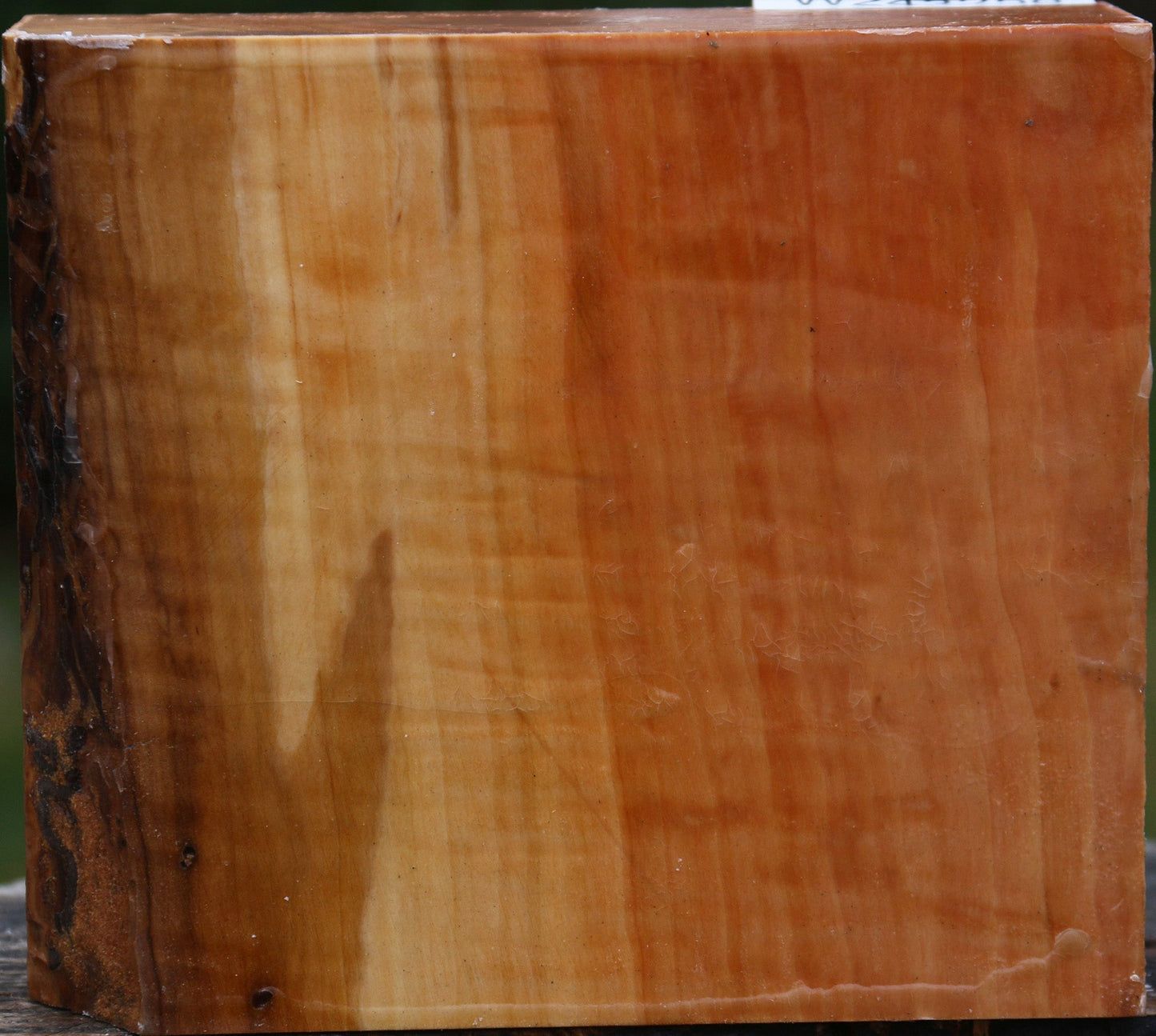 Figured Swiss Pear Bowl Blank