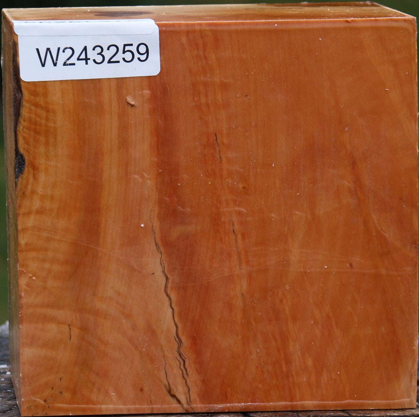 Figured Swiss Pear Bowl Blank