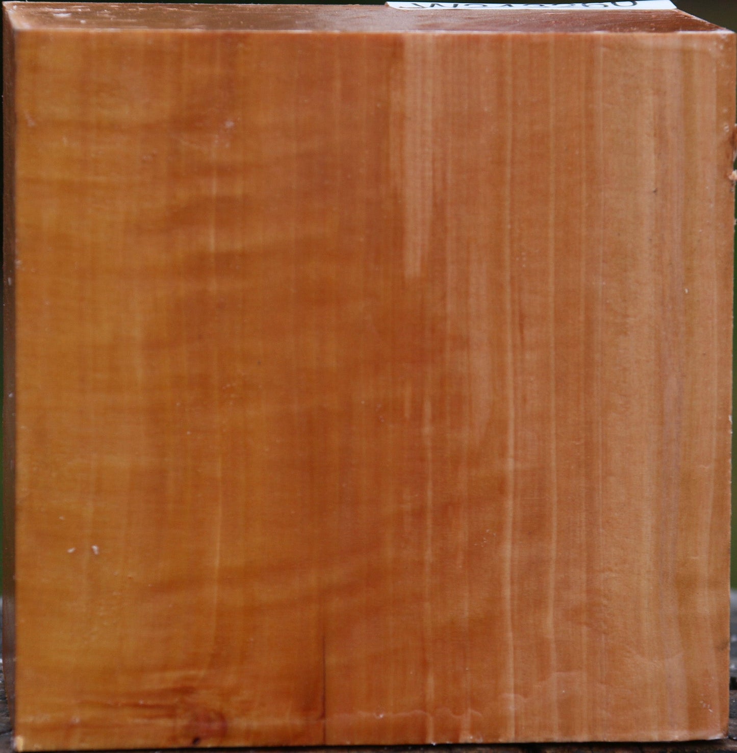 Figured Swiss Pear Bowl Blank