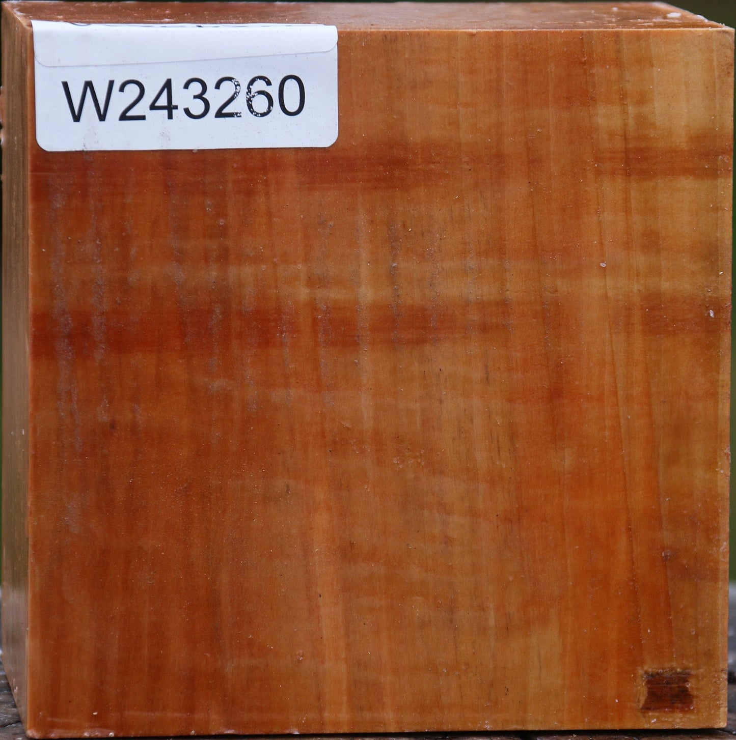 Figured Swiss Pear Bowl Blank