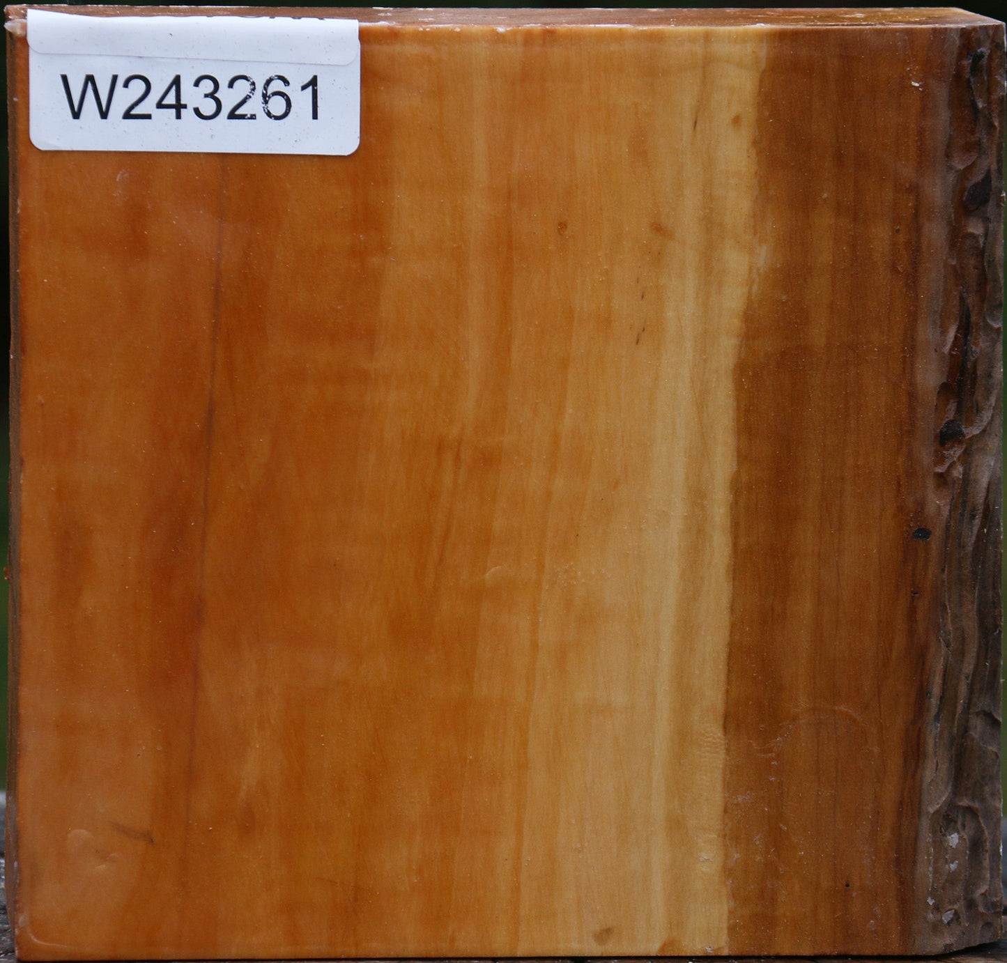 Figured Swiss Pear Bowl Blank